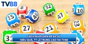 Cách Nuôi Dàn Đề 64 Số Hiệu Quả, Tỷ Lệ Trúng Cao Tại TV88