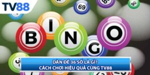 Dàn Đề 36 Số Là Gì? Cách Chơi Hiệu Quả Cùng TV88