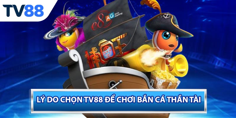 Các loại cá và phần thưởng hấp dẫn trong trò chơi